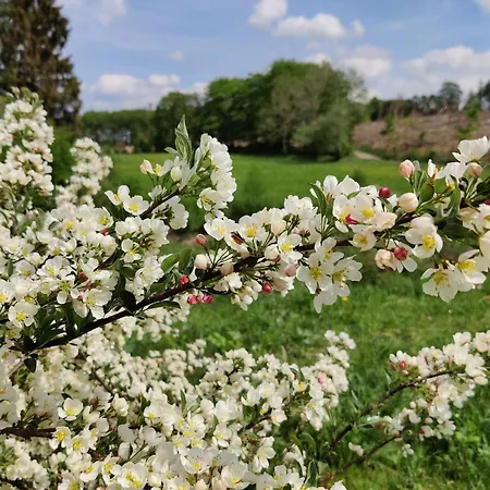 公寓 Ferienwohnung, 55qm *