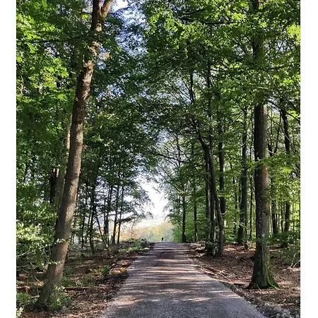 Ferienwohnung, 55qm 公寓 *