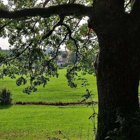 Ferienwohnung, 55qm 公寓 Herscheid