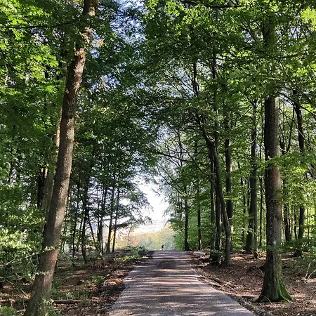 Ferienwohnung, 55qm Herscheid