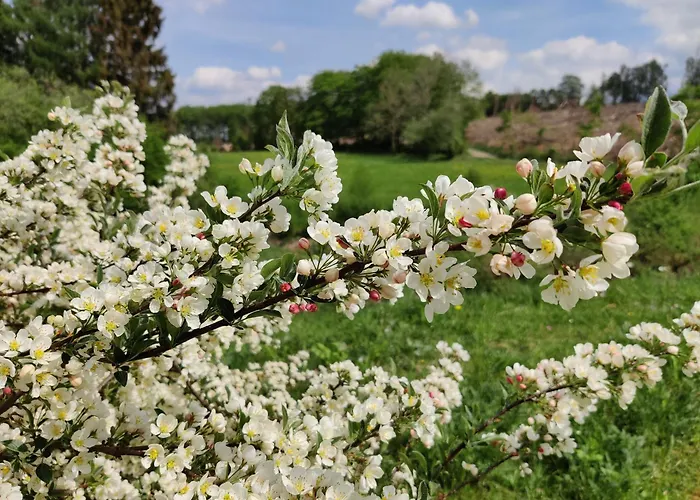 Ferienwohnung, 55qm Lejlighed