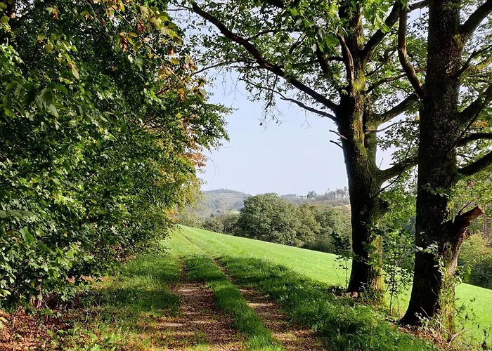 Lejlighed Ferienwohnung, 55qm Herscheid