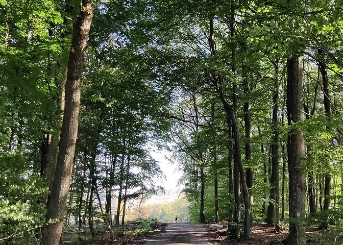 Ferienwohnung, 55qm Herscheid